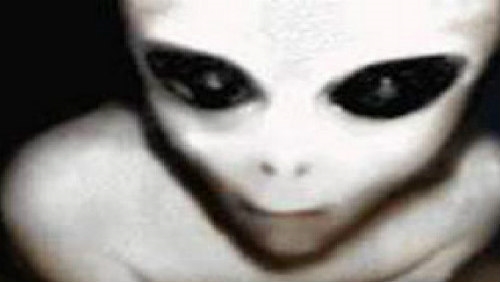 Mgr. Markéta Holclová