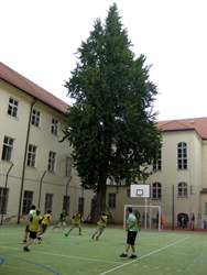 SPŠ sdělovací techniky v Praha 1