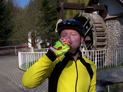 Jindřich Hnízdo