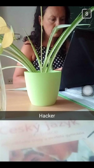 Mgr. Dagmar Langarová