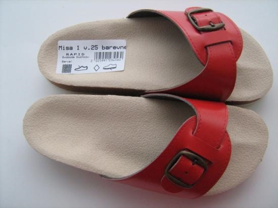 Ing. Věra Povyšilová