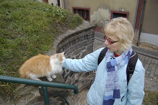 Ing. Hana Lísalová