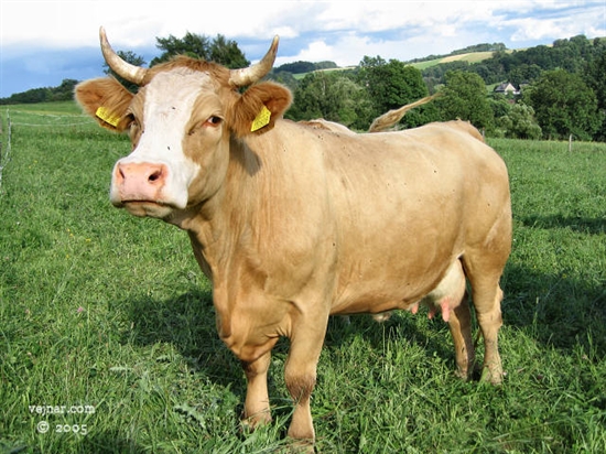 Mgr. Barbora Poštová