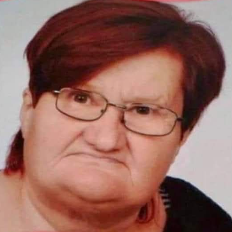 Gymnázium Boženy Němcové