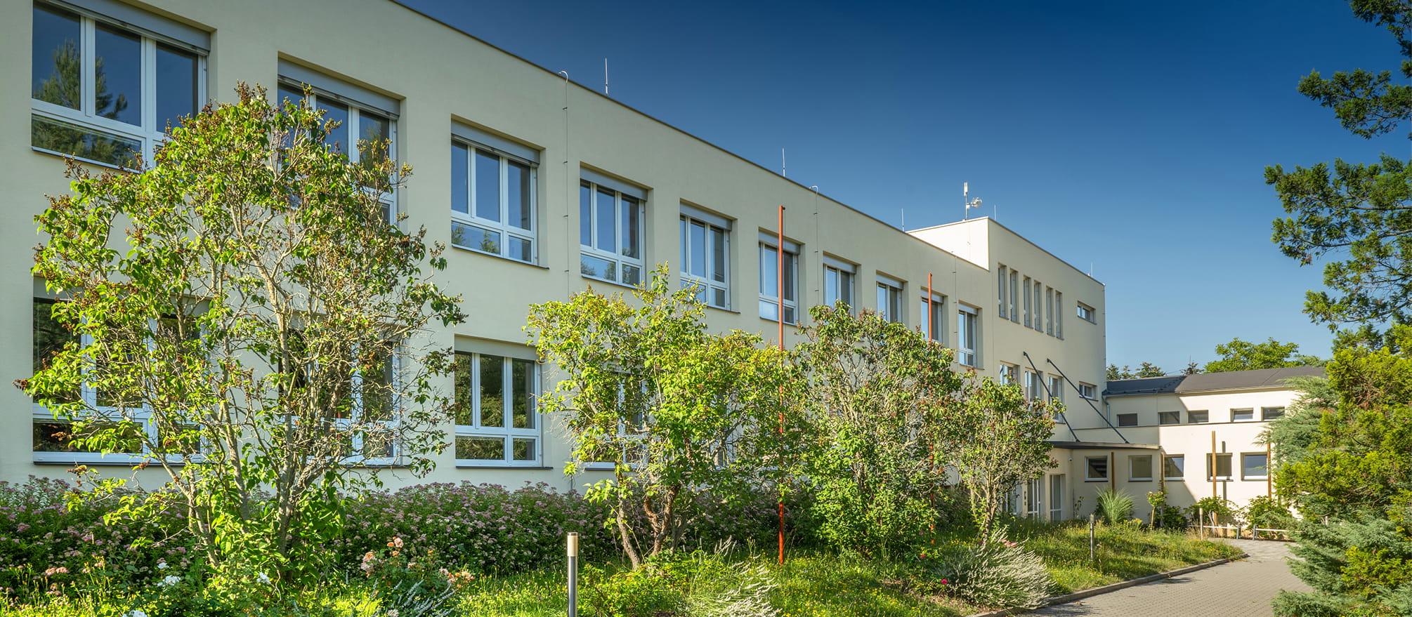 Základní škola a mateřská škola Čestice