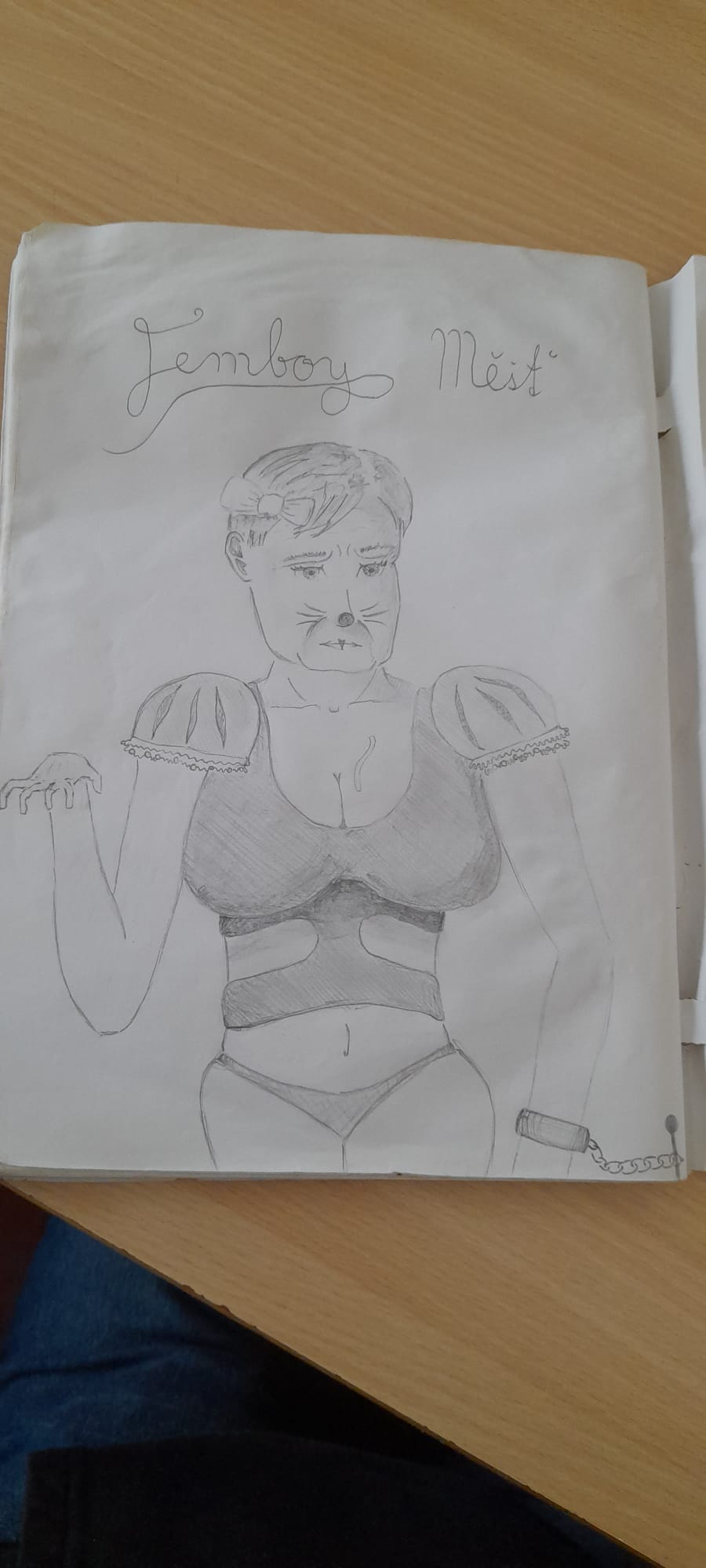 Mgr. Karel Měšťánek