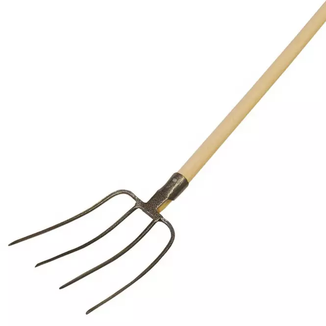 Profilový obrázek učitele