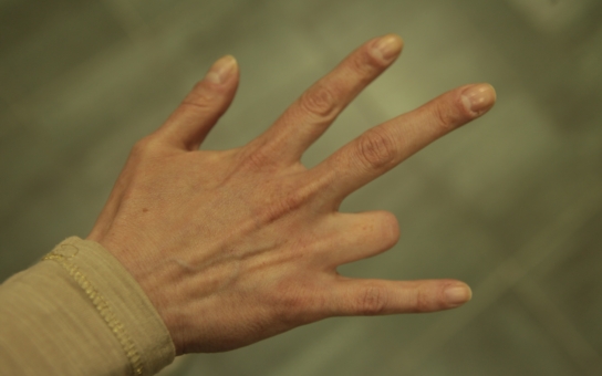 Profilový obrázek učitele