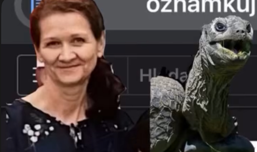 Profilový obrázek učitele