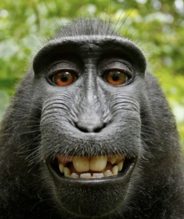 Profilový obrázek učitele