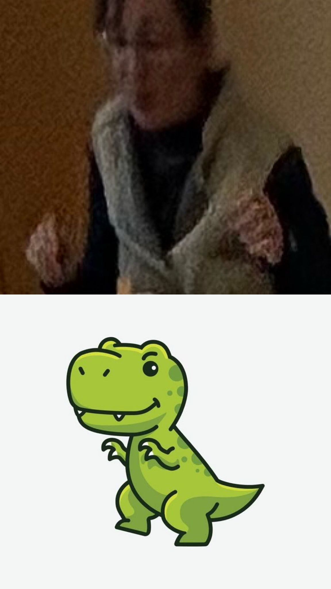 Mgr. Alzbeta Peterkova