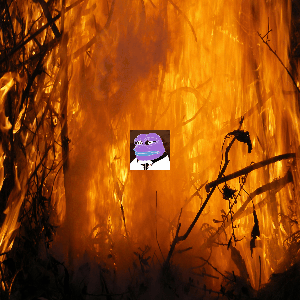 Ing. Soňa Bursíková