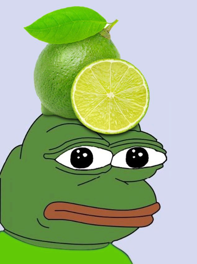 Profilový obrázek učitele