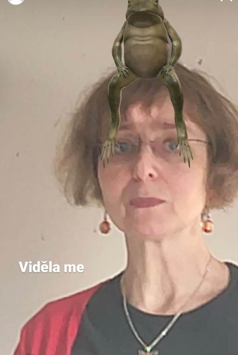 Profilový obrázek učitele