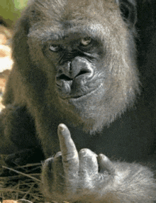 Profilový obrázek učitele