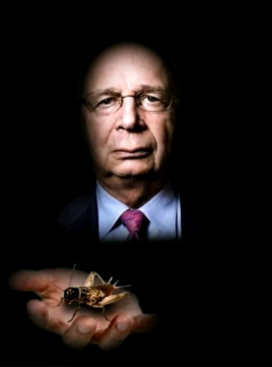 Profilový obrázek učitele