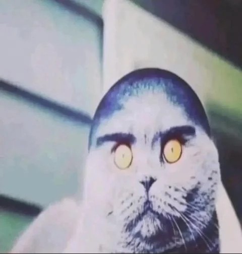 Profilový obrázek učitele