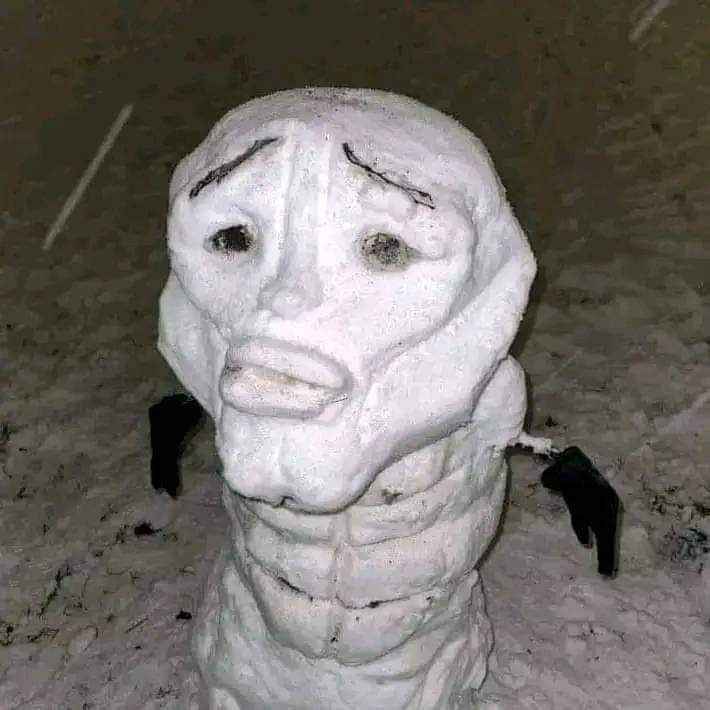 Profilový obrázek učitele